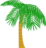 palmtree2.gif (16523 bytes)